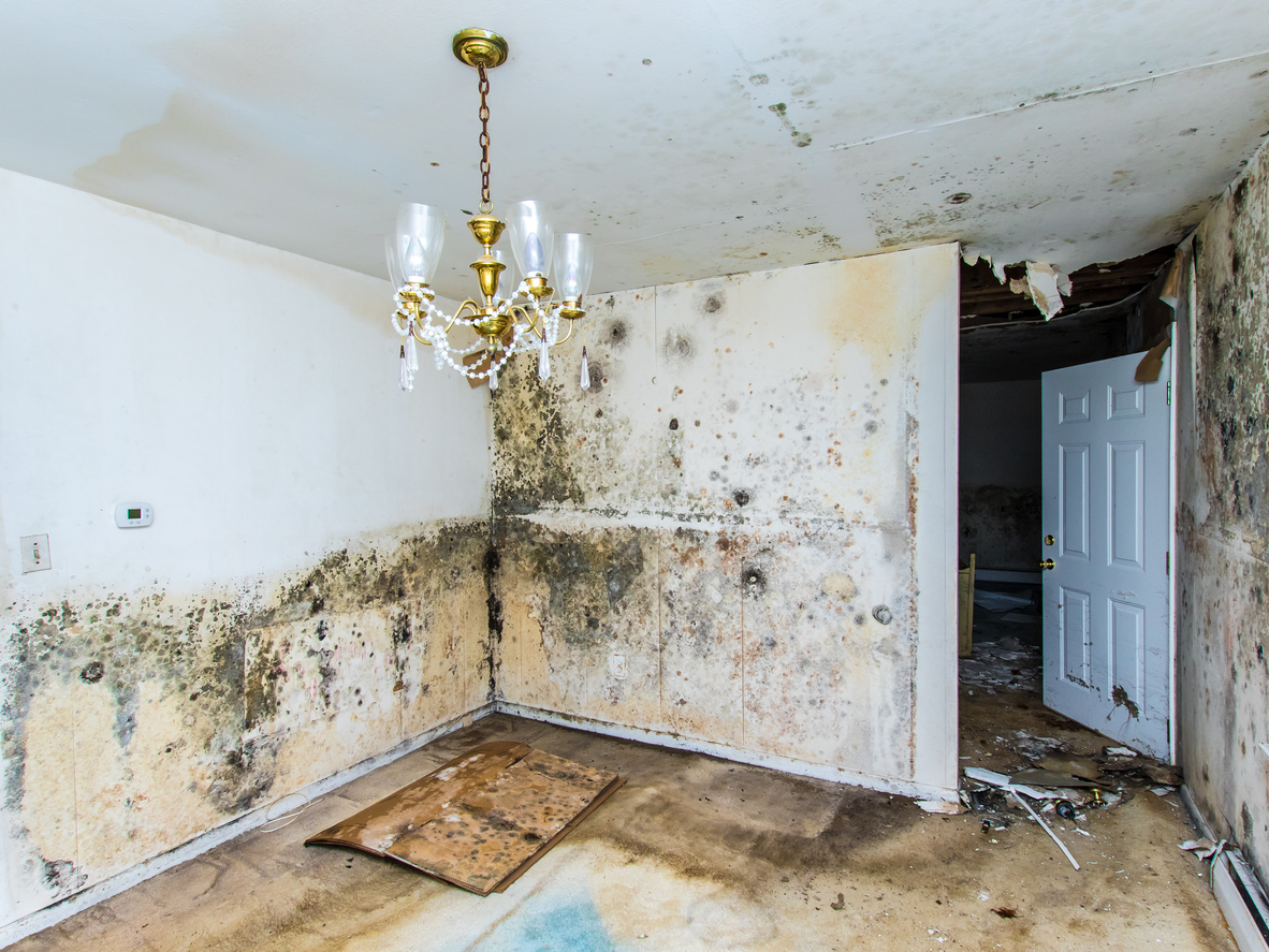 Housing Disrepair Compensation