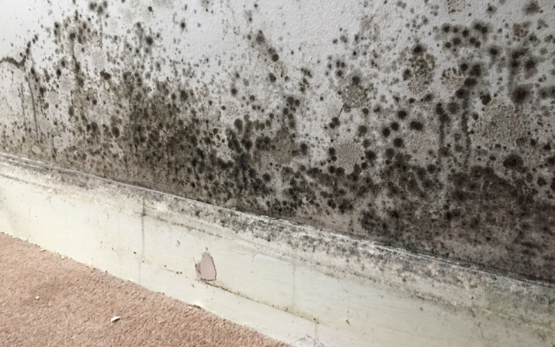 When Should You Start A Housing Disrepair Claim?